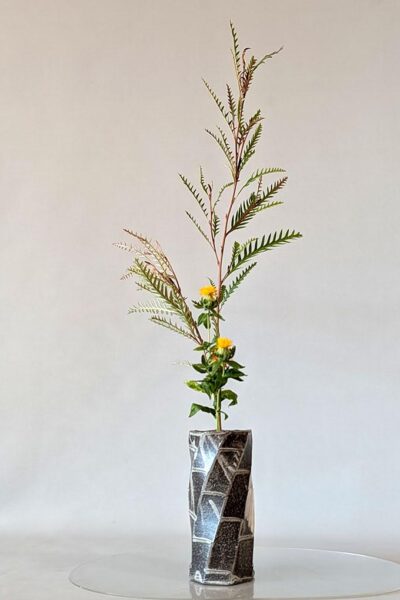 November 1st 2025, Shoka Nisshuike- Linnéa Storm