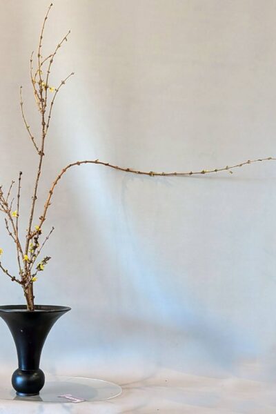 January 17th 2026, Shoka Betsuden- Jeanne Holy